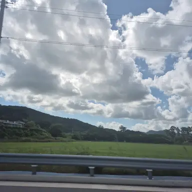 Profile image of 수진