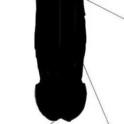 Profile image of 祓いの神器