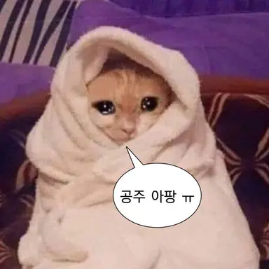 Profile image of 여우