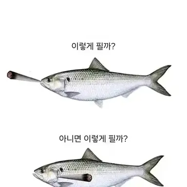 Profile image of 아무거나야