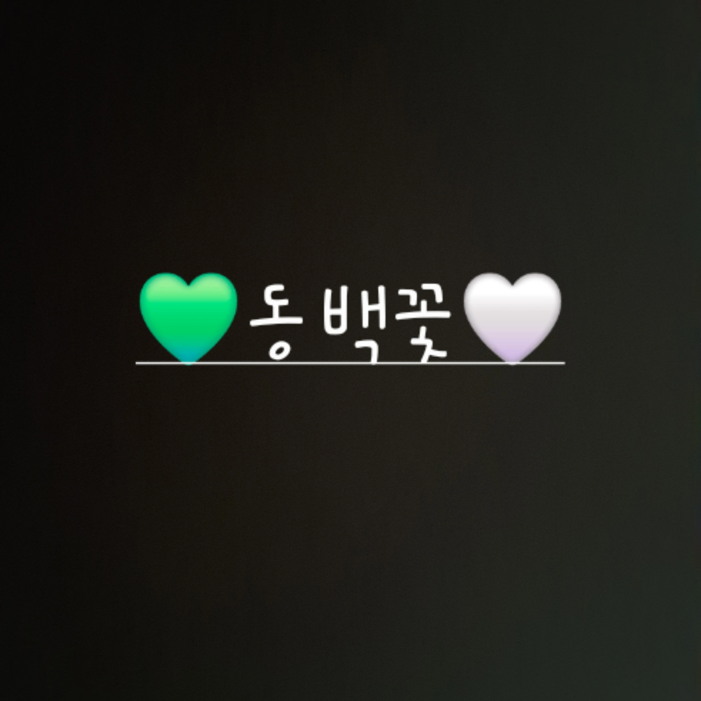 동백꽃