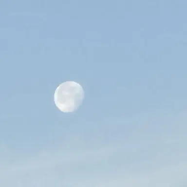Profile image of 星導ショウ