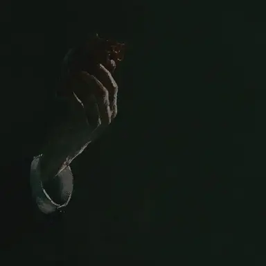 Profile image of Adam