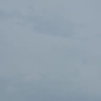 Profile image of 핀란드볼