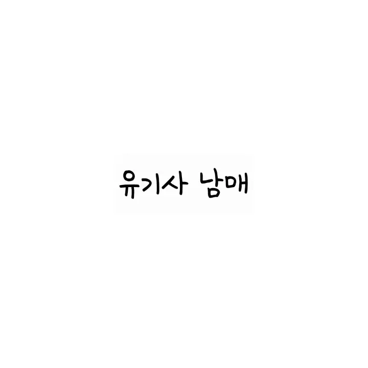 LizRaiIVE의 유기사 남매