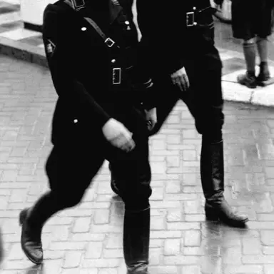 Profile image of German soldiers