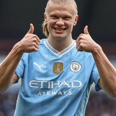 Profile image of Erling