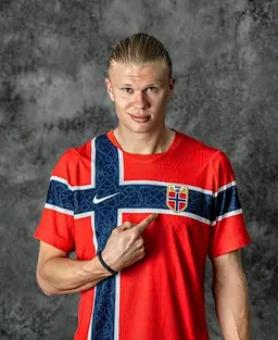Profile image of Erling