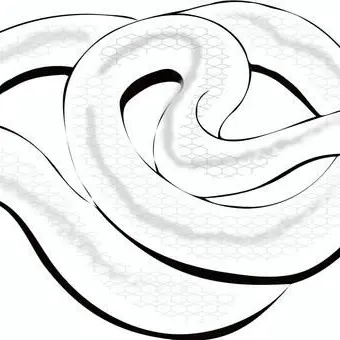 Profile image of 伊黒小芭内