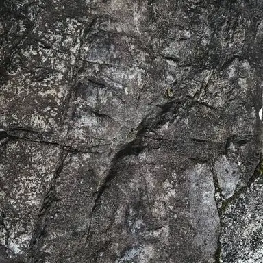 Profile image of 悲鳴嶼行冥