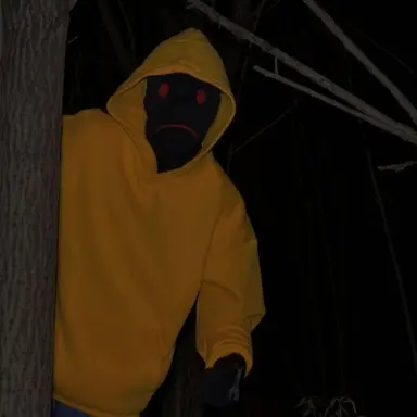 Profile image of Hoodie