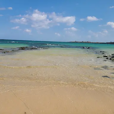 Profile image of 우유참치