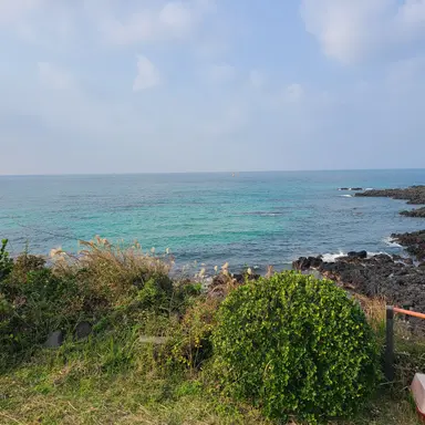 Profile image of 준브레드