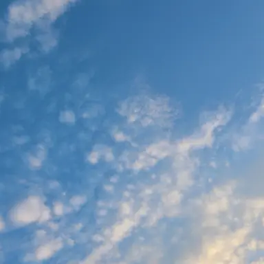 Profile image of 멜로우