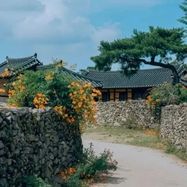 Profile image of 공룡