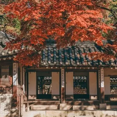 Profile image of 덕개