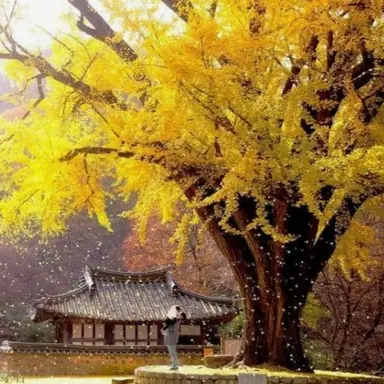 Profile image of 각별