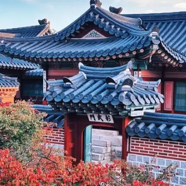 Profile image of 라더