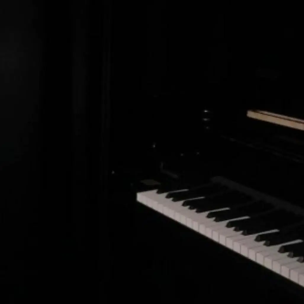 Non-beige의 유강율