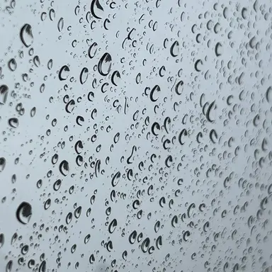 Profile image of 감제이