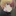アクア