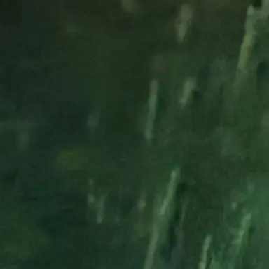 Profile image of ユジン