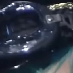 トップ
