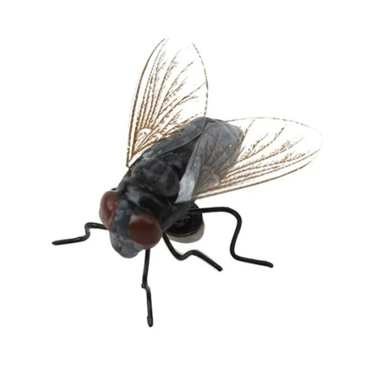 파리