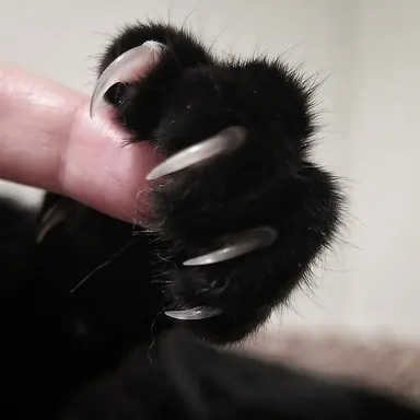 Profile image of テサン