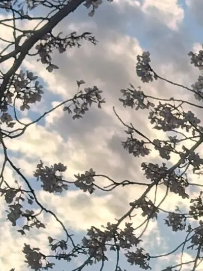 Yamato_0407의 殺し合いの館