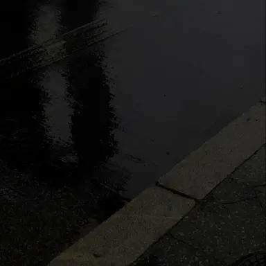 Profile image of 서라더