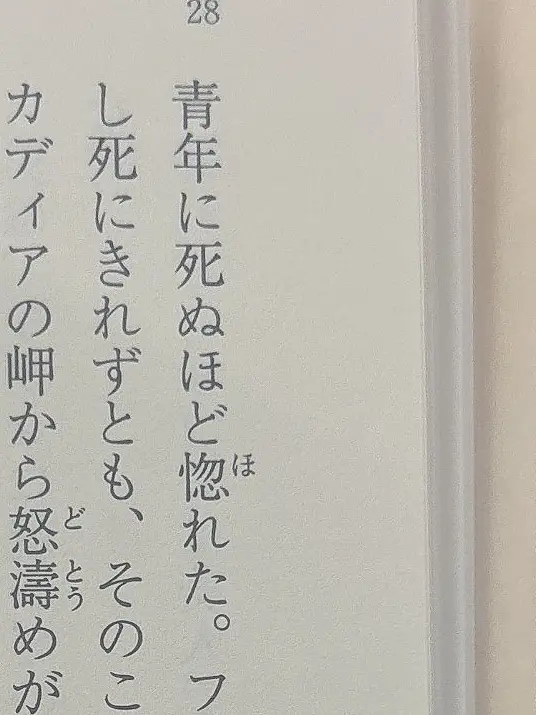 Kis.s의 箱庭