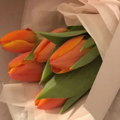 Profile image of 덕경장