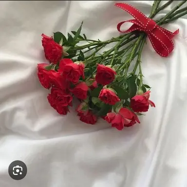 Profile image of 라경사