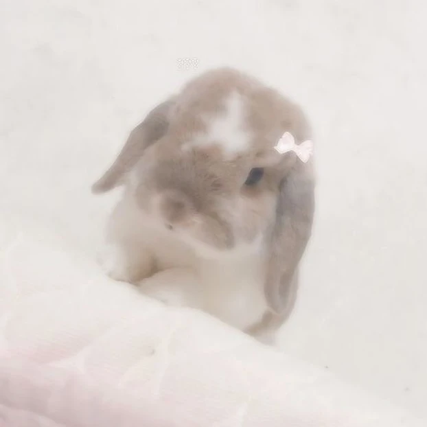 이소희