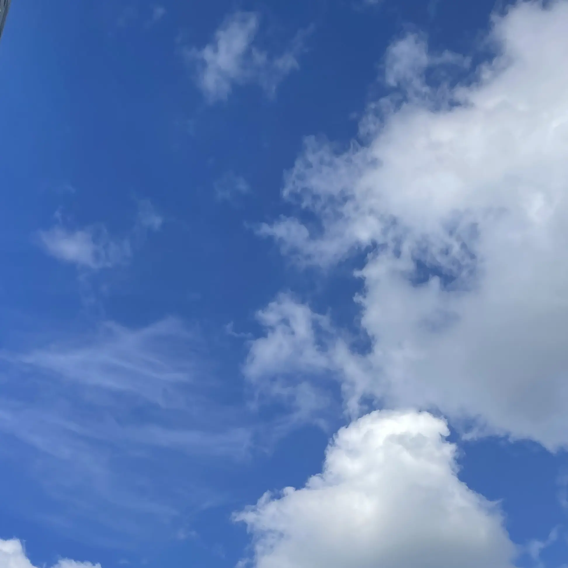 PurelyCloud4583의 최시우