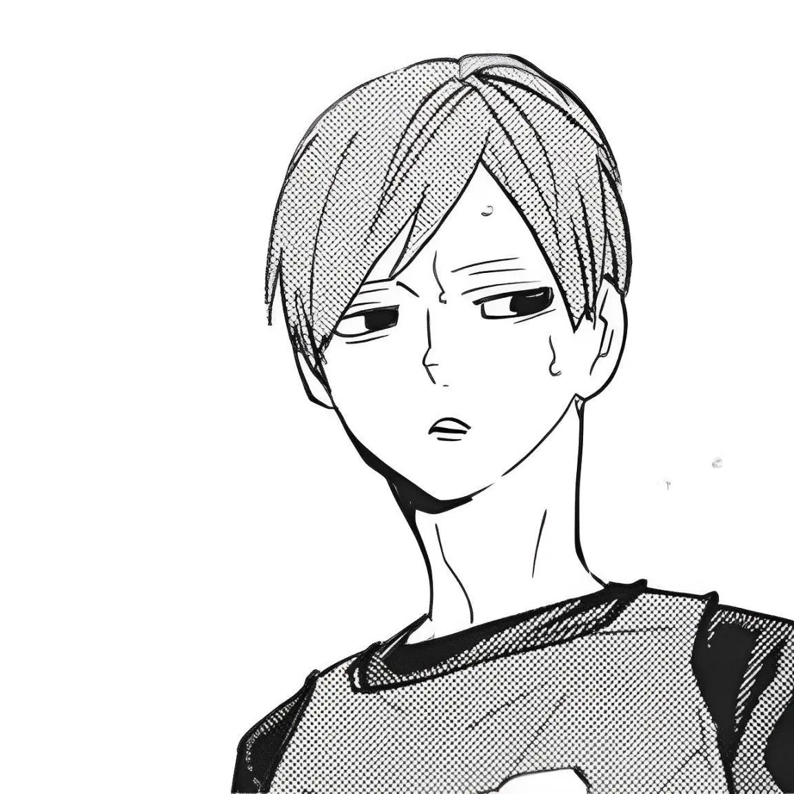 xilo_p의 俺の{{user}}！！