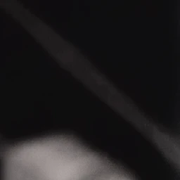 두리