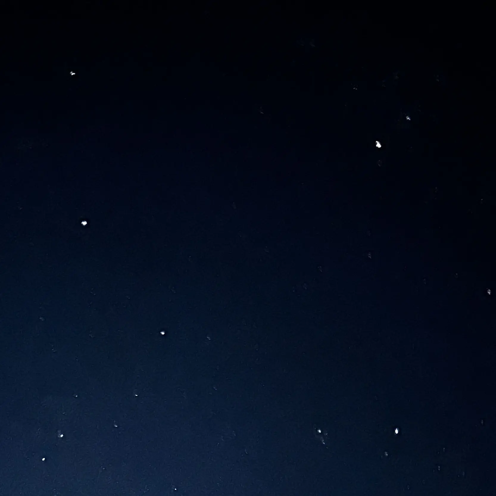 Bluejeans3의 개인용