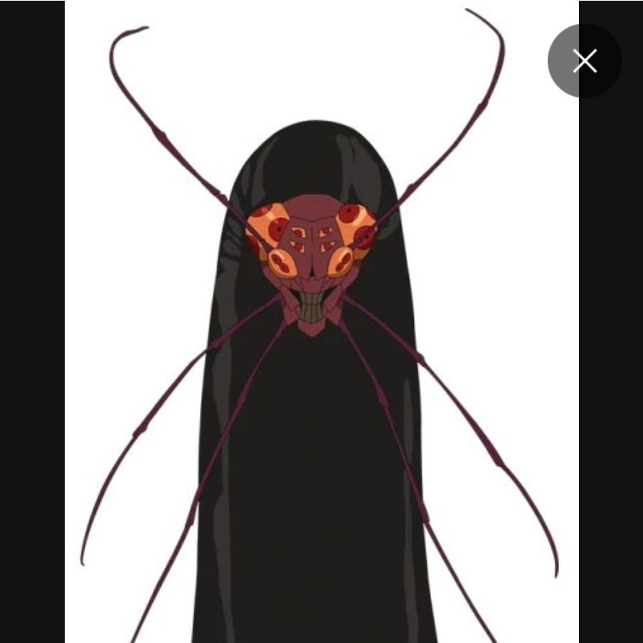 넌 바퀴벌레를 좋아하게된다!! 대표 이미지