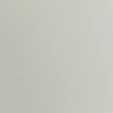 Profile image of 로네사 아르리