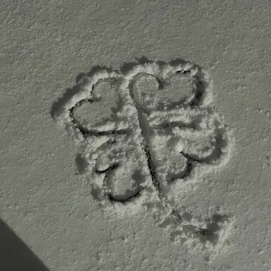 Profile image of 시미베