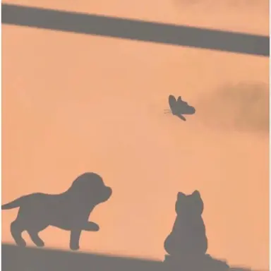 Profile image of 코마