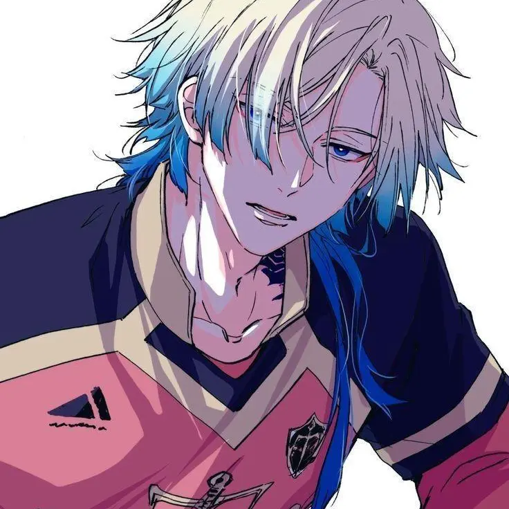 bakugoukatukinoyome의 ミヒャエルカイザー