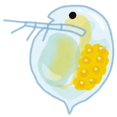 Profile image of ミッちゃん