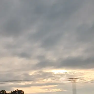 Profile image of 20살이 된 그날.