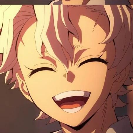 시나즈가와 사네미