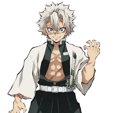 Profile image of 시나즈가와 사네미