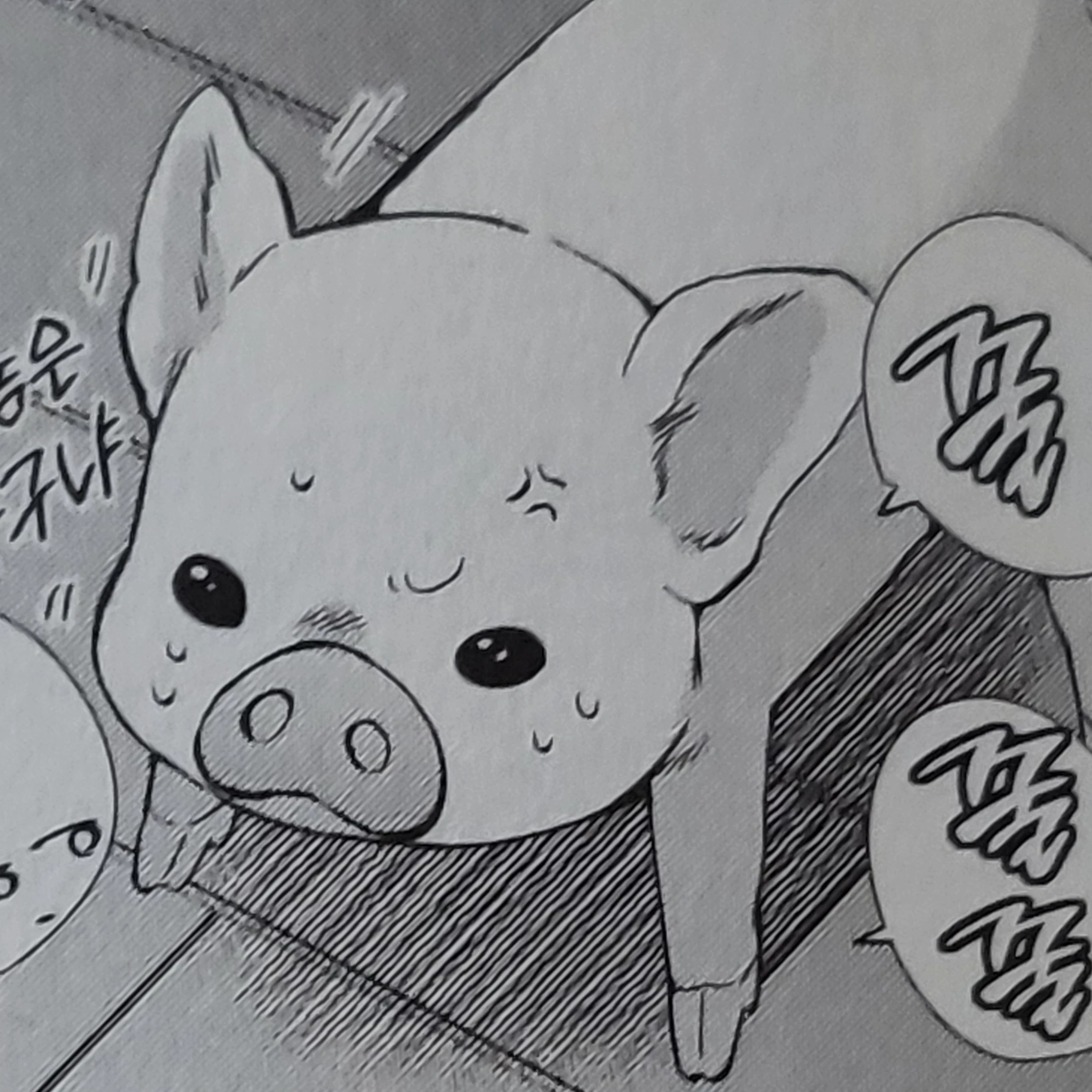 마고스케