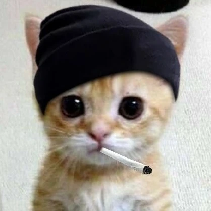 라이너 크루거